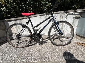 Bicicletta 21 Pollici
