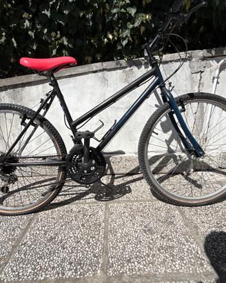 Bicicletta 21 Pollici