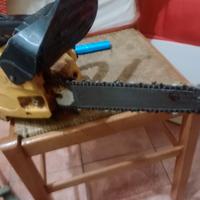 motosega alpina da potatura 