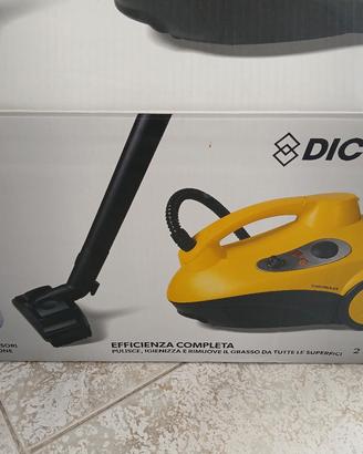 Pulitore a vapore