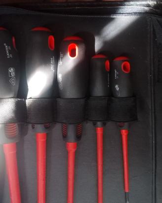 Set cacciavite 