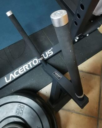 dip station per pro power rack
