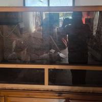 Terrario OSB per rettili 120x60x60