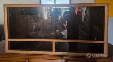 Terrario OSB per rettili 120x60x60