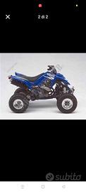 Yamaha Raptor