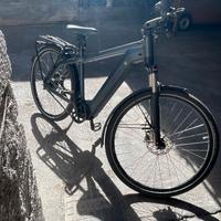 Ebike a pedalata assistita