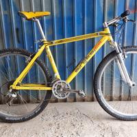 bici mtb sintesi 