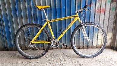 bici mtb sintesi 
