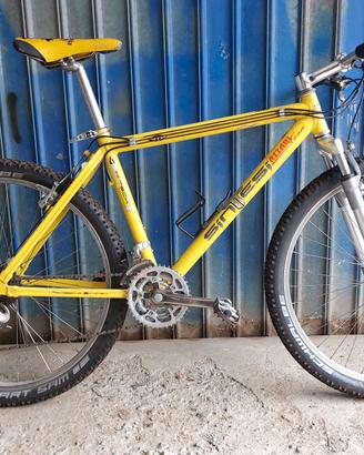 bici mtb sintesi 