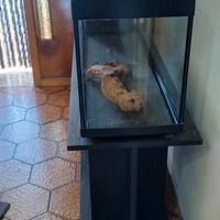 acquario con mobili