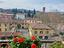 Immagine 12