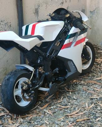 Minimoto replica blata