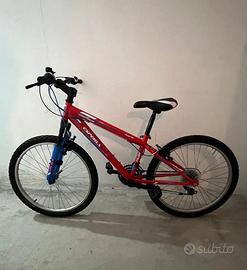 Bicicletta
