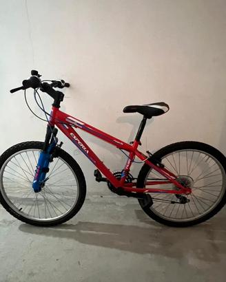 Bicicletta