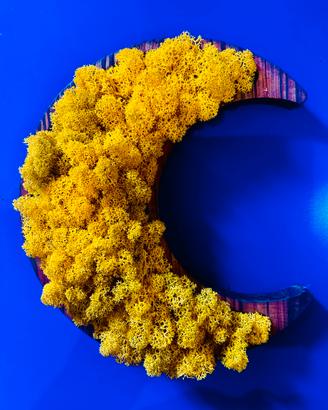 Ti ho regalato la Luna - Muschio Giallo e cornic
