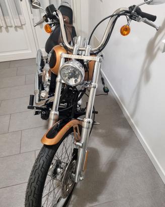 Harley Davidson Softail Custom 1584 FXSTC 105Th An