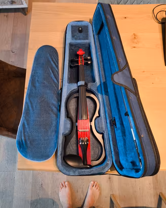 violino elettrico 