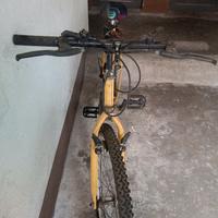 bici da uomo gialla