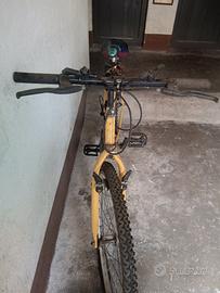 bici da uomo gialla