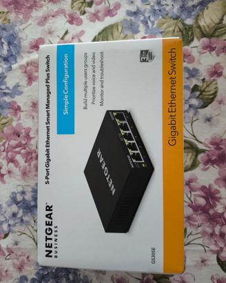 Switch Netgear