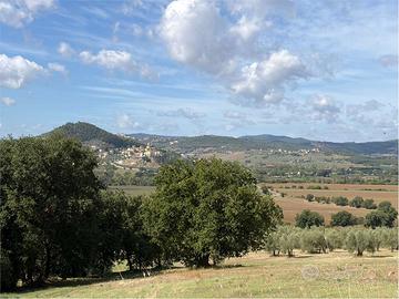 Terreno Edificabile a Corciano