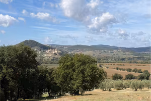 Terreno Edificabile a Corciano
