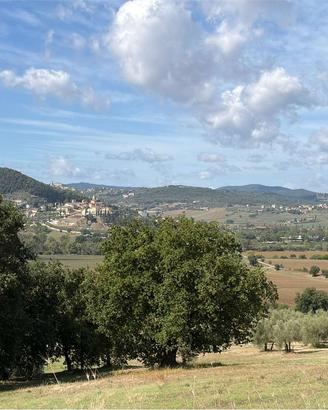Terreno Edificabile a Corciano