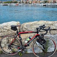 willier triestina gtr