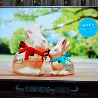 Smart TV Panasonic 55" (TX-55AS640E) - 30 €