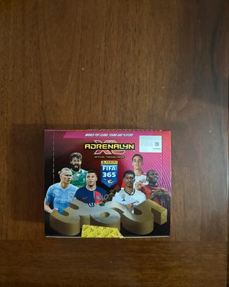 Box FIFA 365 Adrenalyn XL 2024 24 Bustine Panini