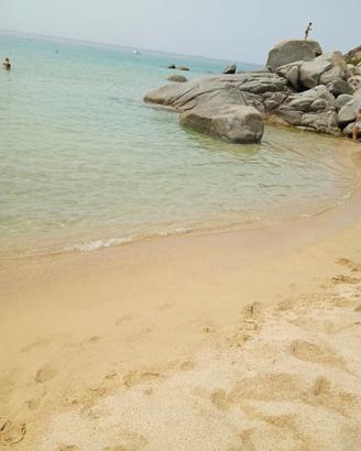 Solanas mare