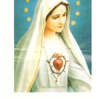 Santino - Cuore Immacolato di Maria.276