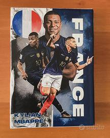 Quadro di Kylian Mbappe