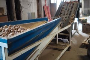 pesatrice per patate