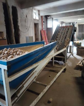 pesatrice per patate