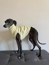 Cappotto maglione cane levriero italiano