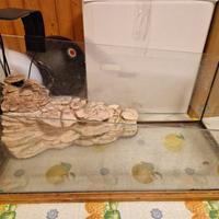 tartarughiera/acquaterrario
