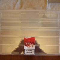 BACHECHE PER MODELLINI