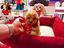 Immagine 26