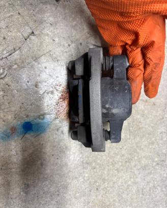 pinza freno posteriore + staffa  sh 125 2022
