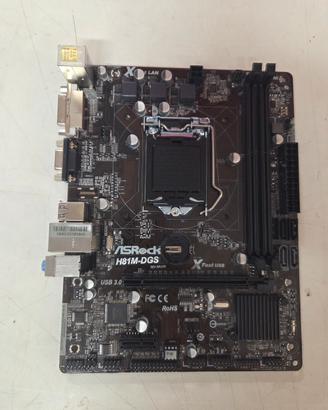 Scheda Madre Gigabyte H81m-dgs