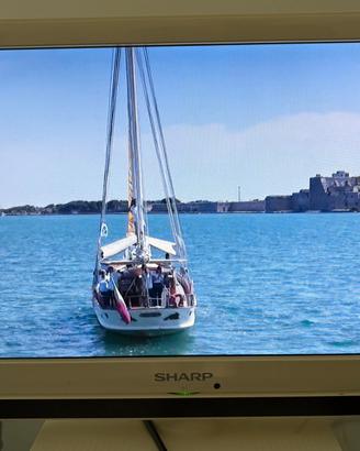 Televisore Sharp 19”