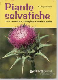 Piante selvatiche