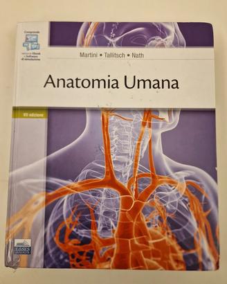 anatomia umana Martini