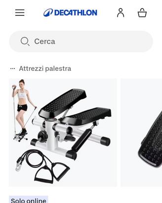 Mini stepper