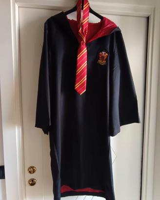 Costume e bacchetta Harry Potter