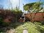 Immagine 11
