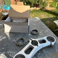 Piastra originale Ducati panigale