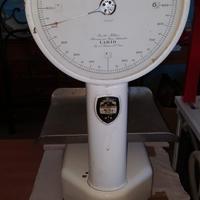 Bilancia per ortofrutta portata 10 kg marca Lario