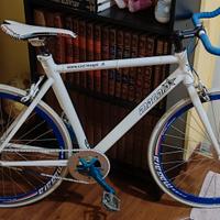 bicicletta a scatto fisso 